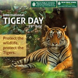 "A majestic tiger in the wild, symbolizing the beauty and significance of these creatures in our ecosystem. Celebrating International Tiger Day at DPS Greater Faridabad - The Best CBSE School in Faridabad."