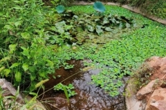 Screenshot_20221018-151814_WhatsApp