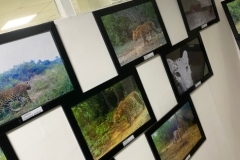 Screenshot_20221018-151819_WhatsApp