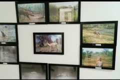 Screenshot_20221018-151834_WhatsApp