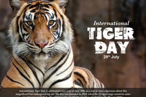 International Tiger Day