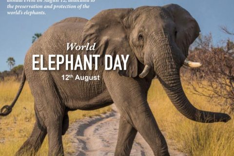 World Elephant Day
