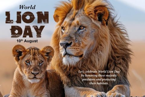 World Lion Day